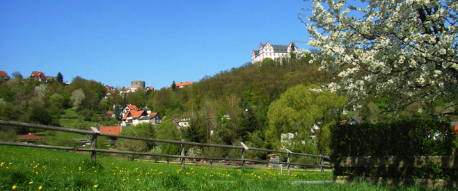 Heuneburgschule Fischbachtal